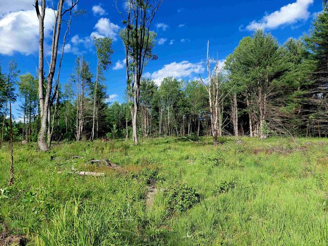 9170 W Gladwin Road, Harrison, MI 48625
