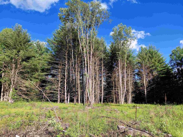9170 W Gladwin Road, Harrison, MI 48625