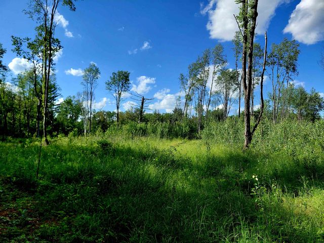 9170 W Gladwin Road, Harrison, MI 48625