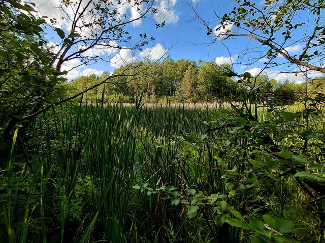 9170 W Gladwin Road, Harrison, MI 48625