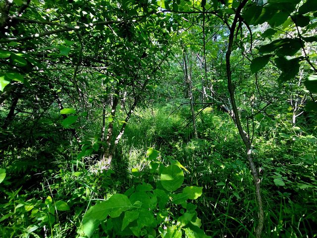 9170 W Gladwin Road, Harrison, MI 48625