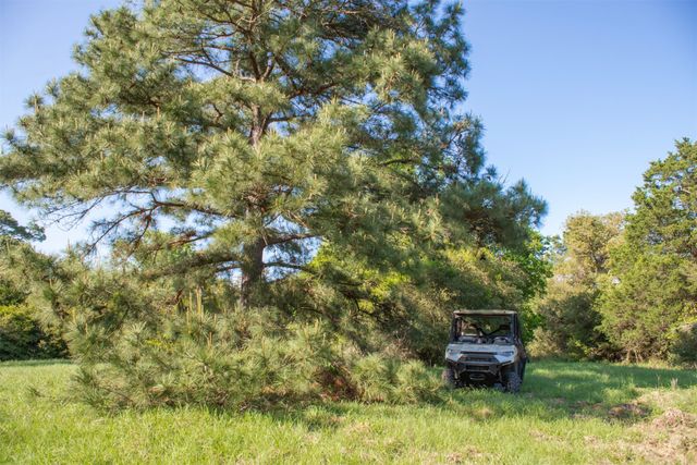 490 John Craft Road, Red Rock, TX 78662
