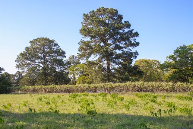 490 John Craft Road, Red Rock, TX 78662
