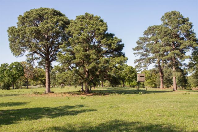 490 John Craft Road, Red Rock, TX 78662