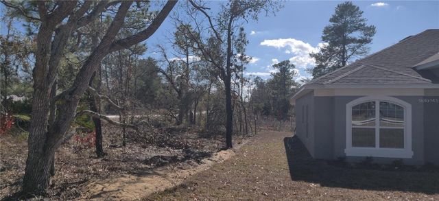 12334 SNOW GOOSE AVENUE, Brooksville, FL 34614