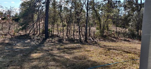 12334 SNOW GOOSE AVENUE, Brooksville, FL 34614