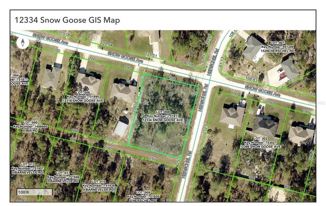 12334 SNOW GOOSE AVENUE, Brooksville, FL 34614