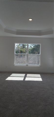 12334 SNOW GOOSE AVENUE, Brooksville, FL 34614