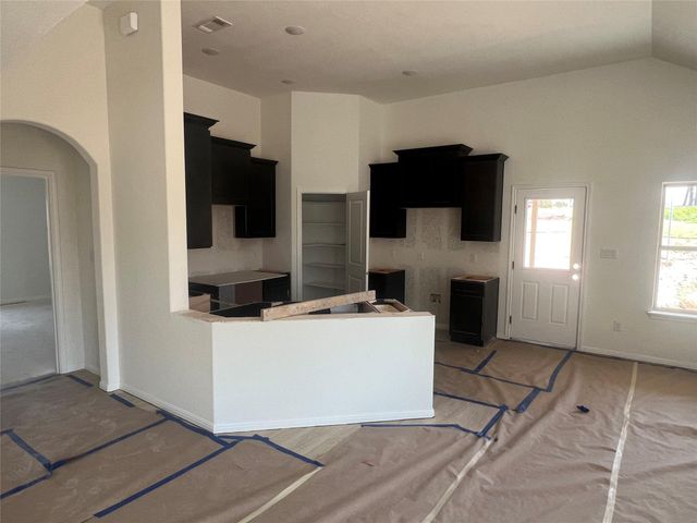 251 Dogvane CIR, Kyle, TX 78640