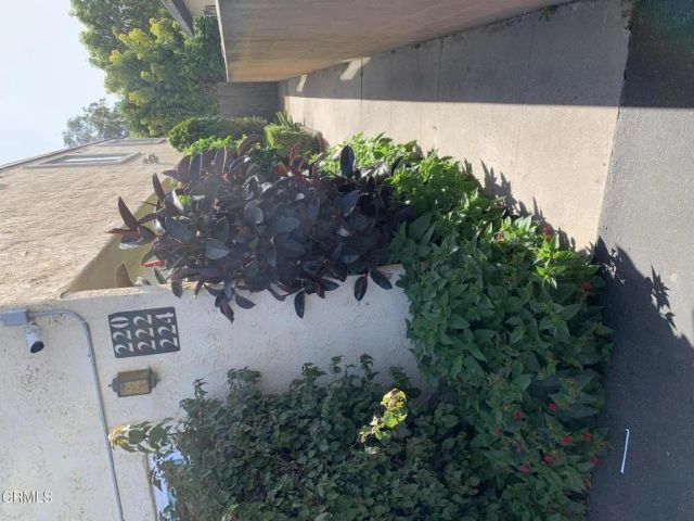 220 S Palm Avenue, Santa Paula, CA 93060