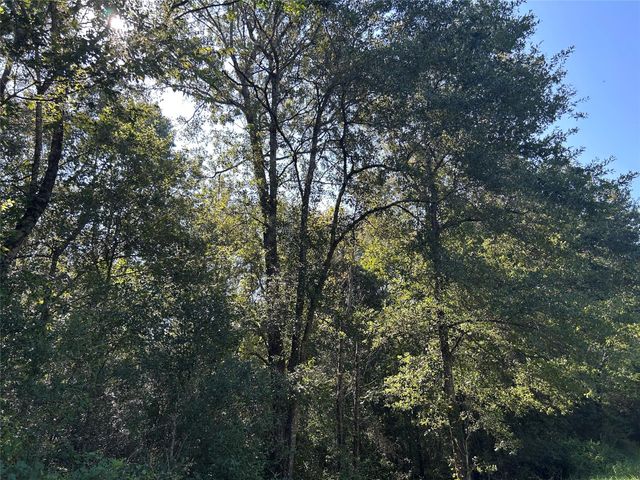 NA Mcguire Road, Liberty, TX 77575