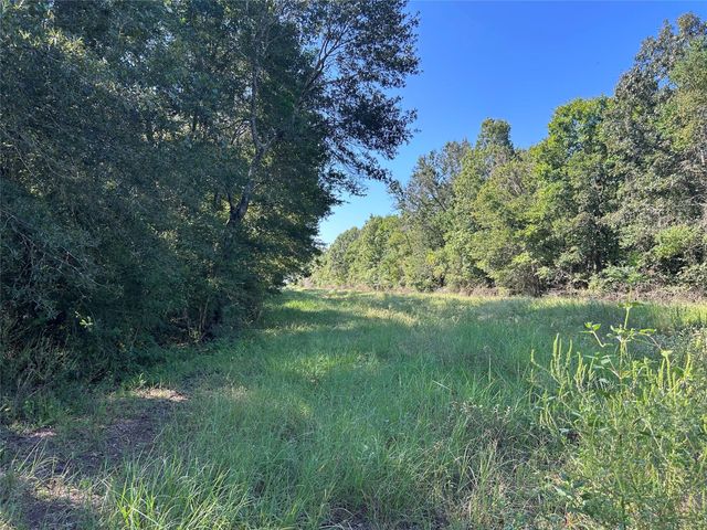 NA Mcguire Road, Liberty, TX 77575