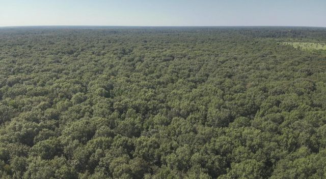 NA Mcguire Road, Liberty, TX 77575