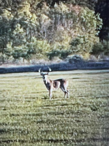 NA Mcguire Road, Liberty, TX 77575