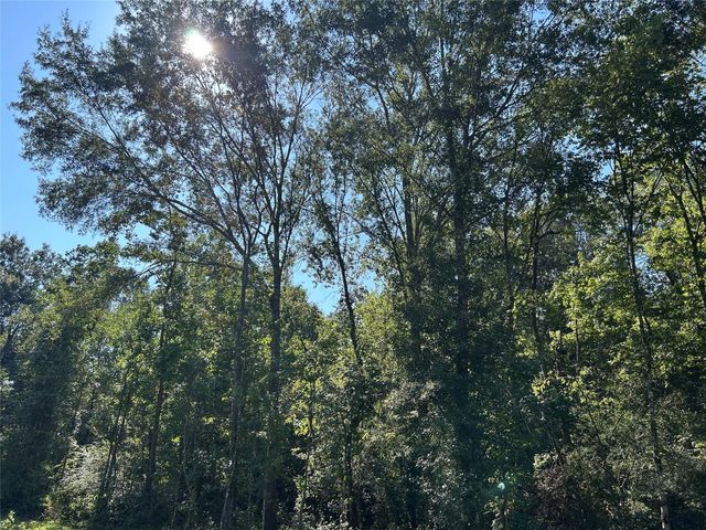 NA Mcguire Road, Liberty, TX 77575