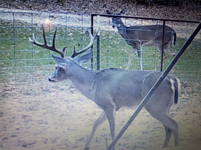 321 Private Road 6815, Eustace, TX 75124