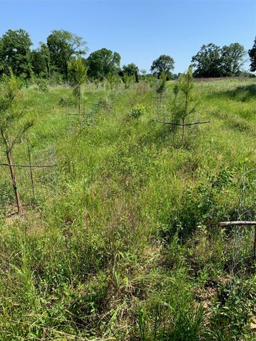 321 Private Road 6815, Eustace, TX 75124