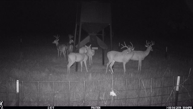 321 Private Road 6815, Eustace, TX 75124