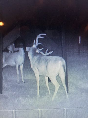 321 Private Road 6815, Eustace, TX 75124