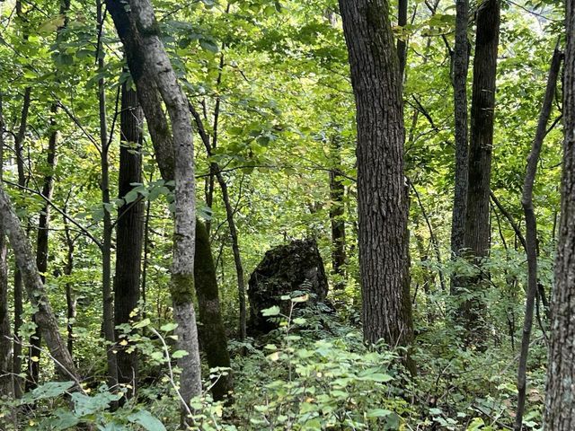 E5706 Park Road, Westby, WI 54667