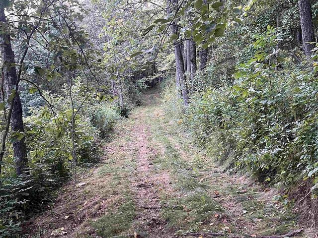 E5706 Park Road, Westby, WI 54667