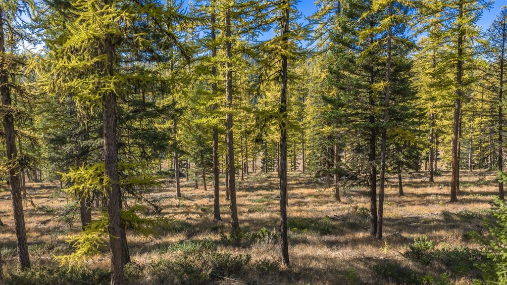 4509 Mountain Home Road CR14, Whitefish, MT 59937 photo 51