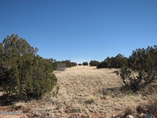 Sec 31 T15N,R16E:SW4,NE4 -- 15, Heber, AZ 85928