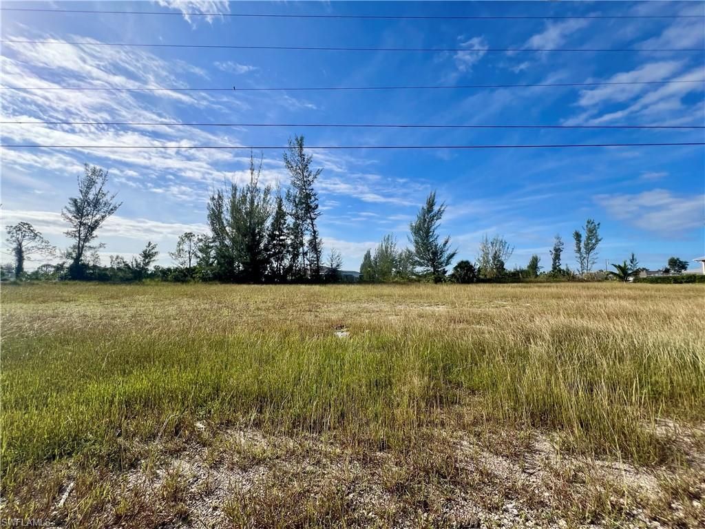 1408 NE 37th ST, CAPE CORAL, FL 33909 — photo 2