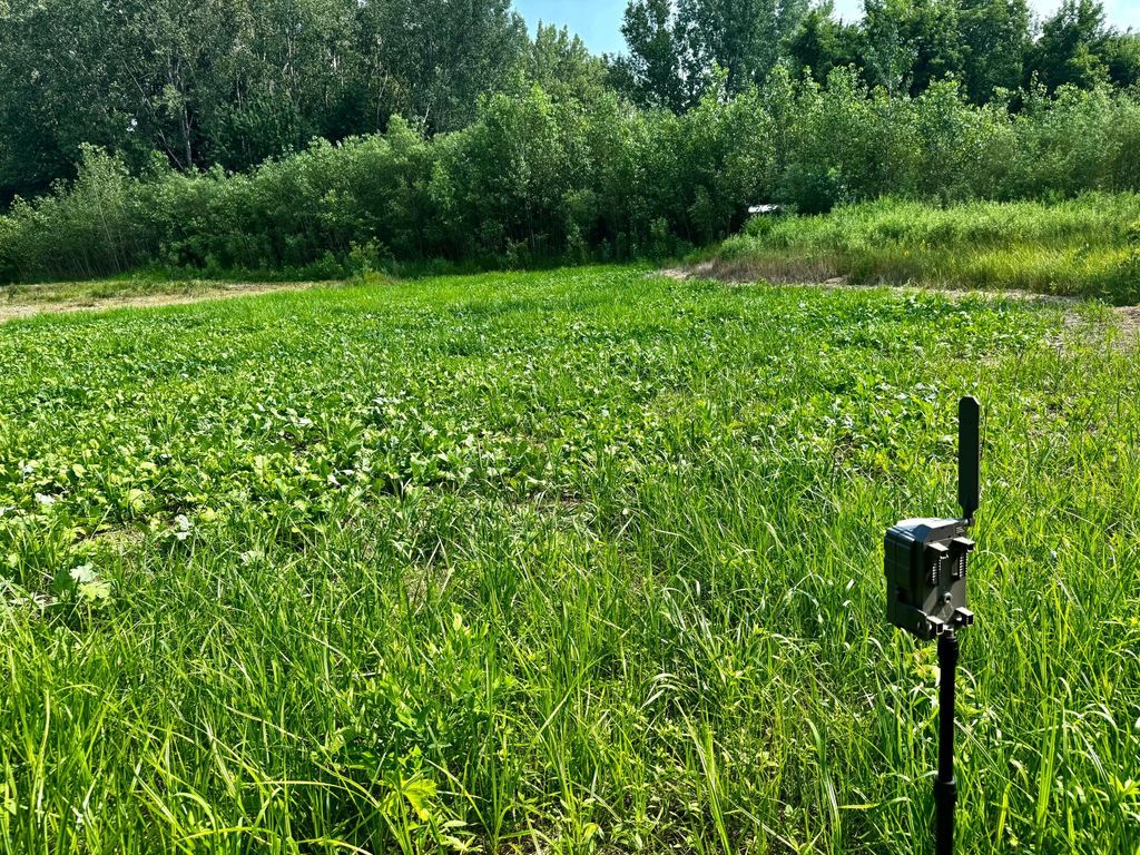 TBD Grove Street, Le Sueur, MN 56058 — exterior