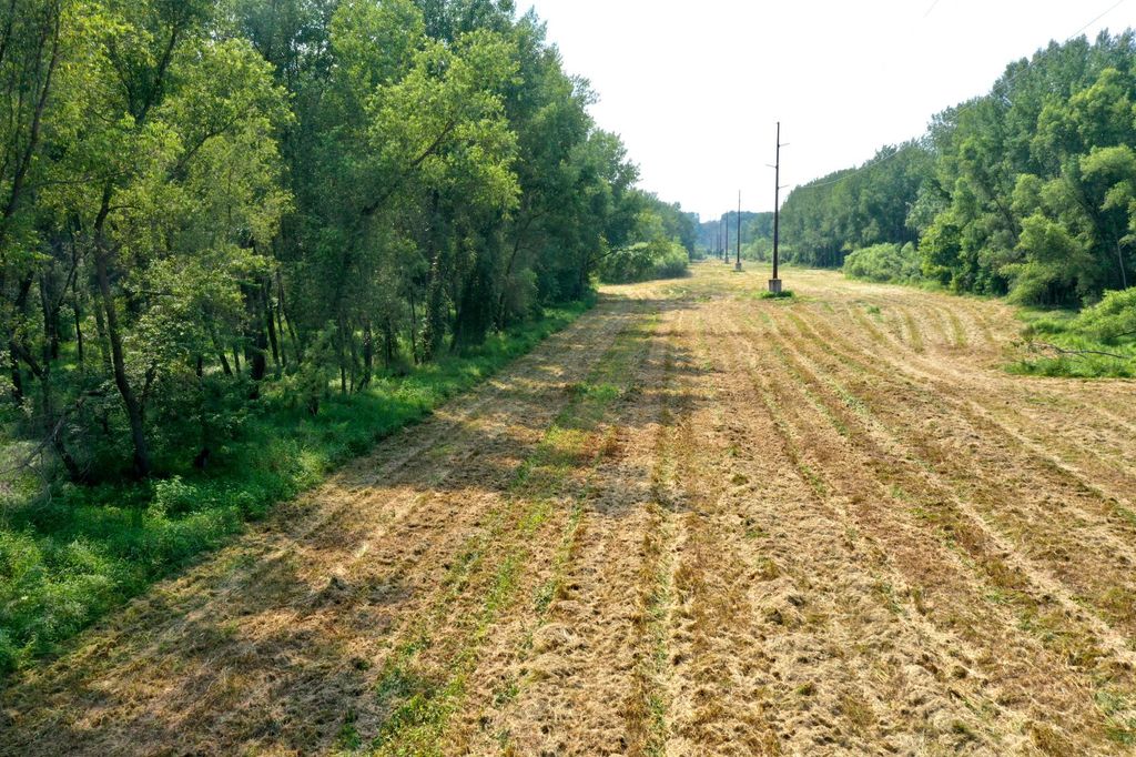 TBD Grove Street, Le Sueur, MN 56058 — photo 3