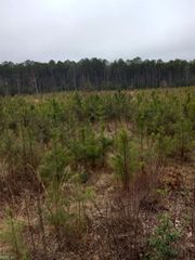 Lot 9 Saw Mill LN, Gloucester, VA 23061