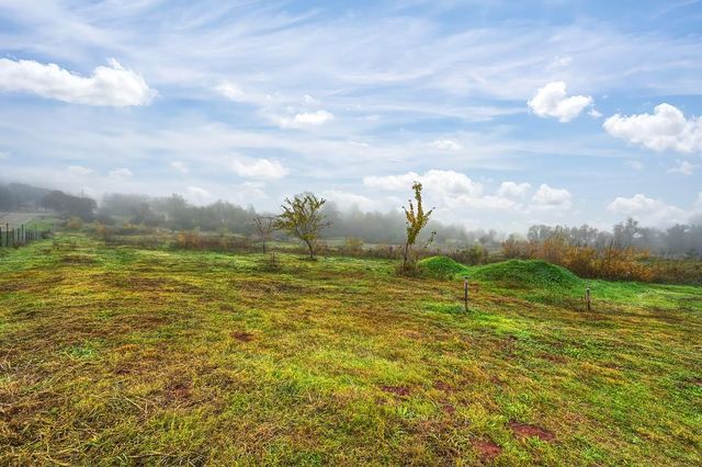 12156 Scott Grant Rd, Marysville, CA 95901