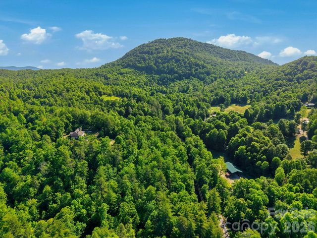 9999 Old Fort Road, Black Mountain, NC 28711