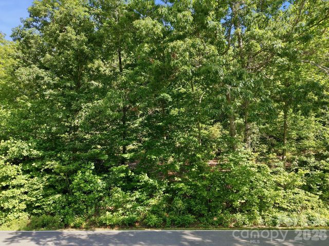 9999 Old Fort Road, Black Mountain, NC 28711