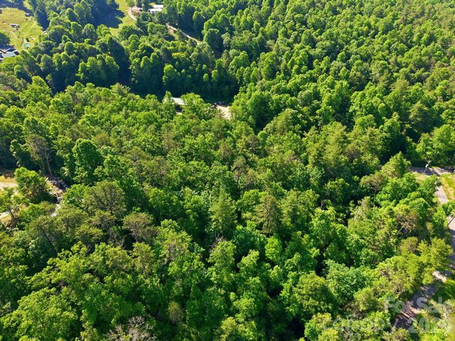 9999 Old Fort Road, Black Mountain, NC 28711