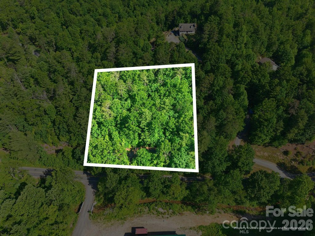 9999 Old Fort Road, Black Mountain, NC 28711