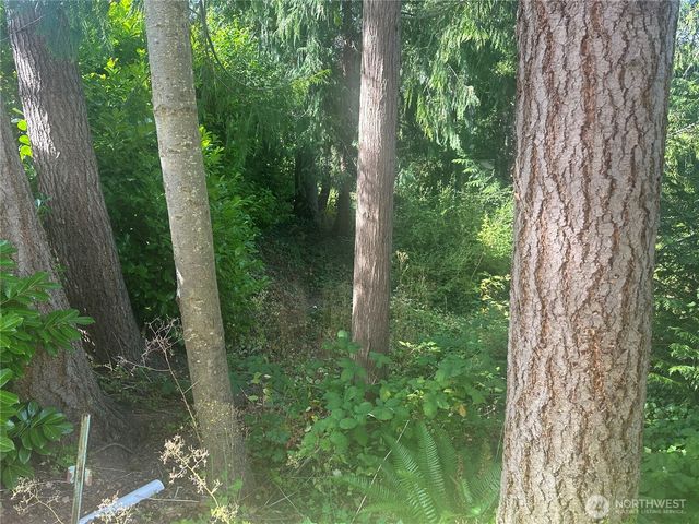 0 Lake Drive, Camano Island, WA 98282