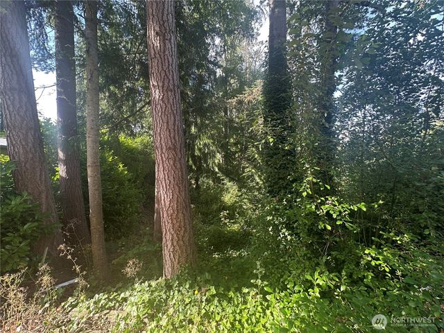 0 Lake Drive, Camano Island, WA 98282