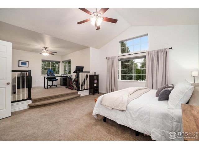 238 Wood Duck Ct, Windsor, CO 80550