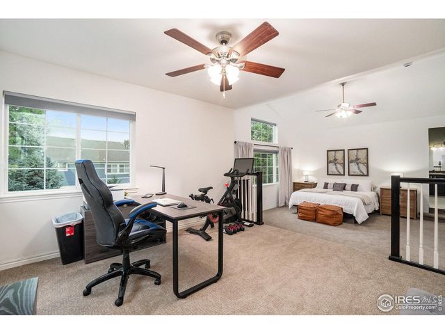 238 Wood Duck Ct, Windsor, CO 80550