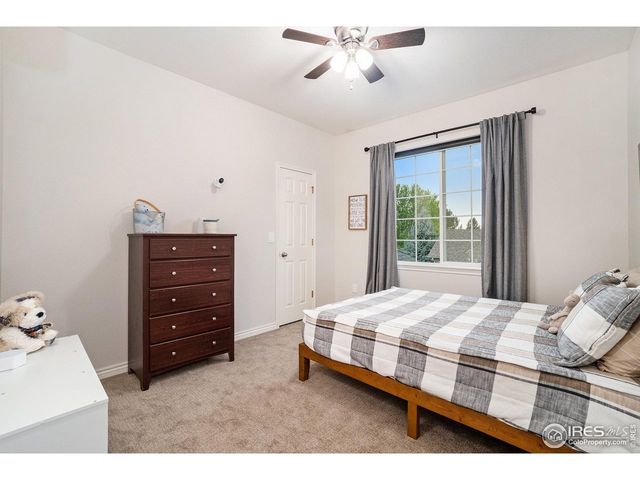 238 Wood Duck Ct, Windsor, CO 80550