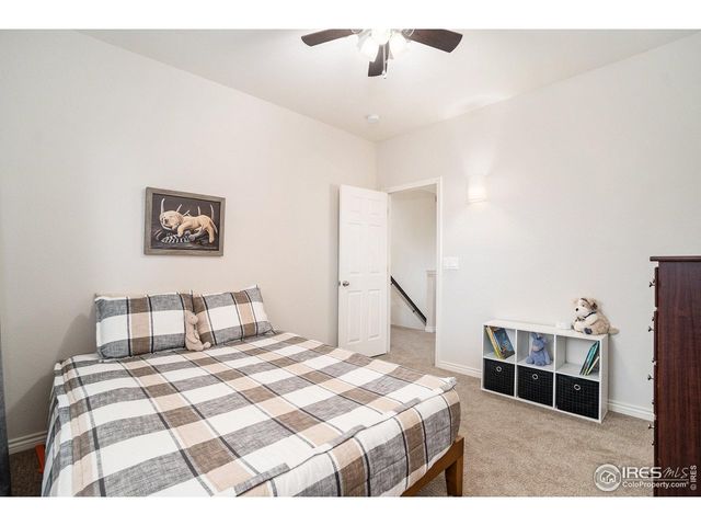 238 Wood Duck Ct, Windsor, CO 80550