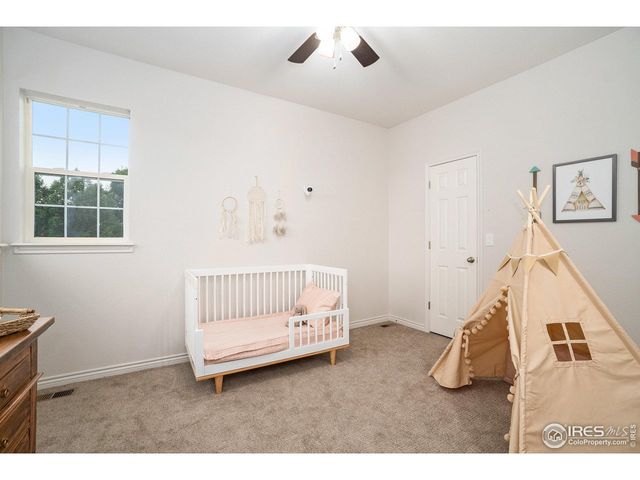 238 Wood Duck Ct, Windsor, CO 80550