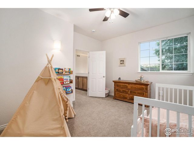 238 Wood Duck Ct, Windsor, CO 80550