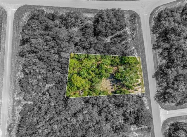 11114 N HAITIAN DRIVE, Citrus Springs, FL 34434