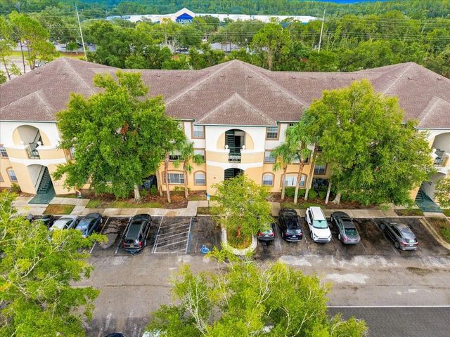 17104 CARRINGTON PARK DRIVE 516, Tampa, FL 33647