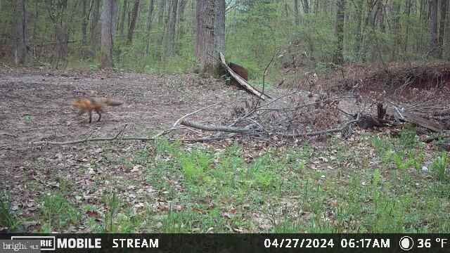 148 ARKLOW DR, Cross Junction, VA 22625