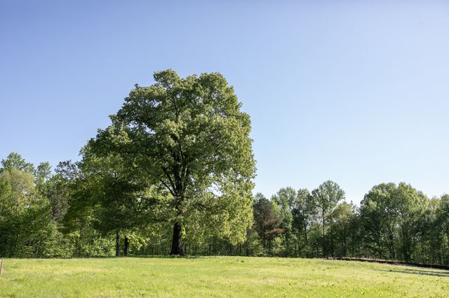 0 Pinewood Road, Franklin, TN 37064