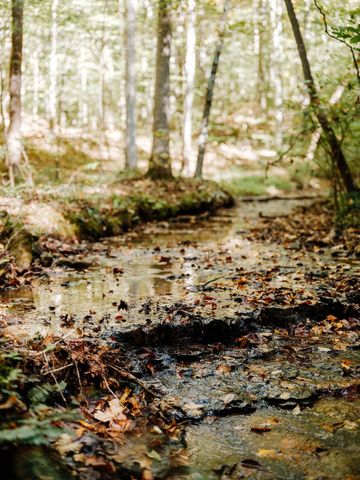 0 Pinewood Road, Franklin, TN 37064