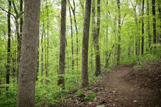 0 Pinewood Road, Franklin, TN 37064